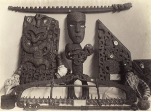 Artefakty w Muzeum Auckland, ok. 1890 r. (odbitka albuminowa)